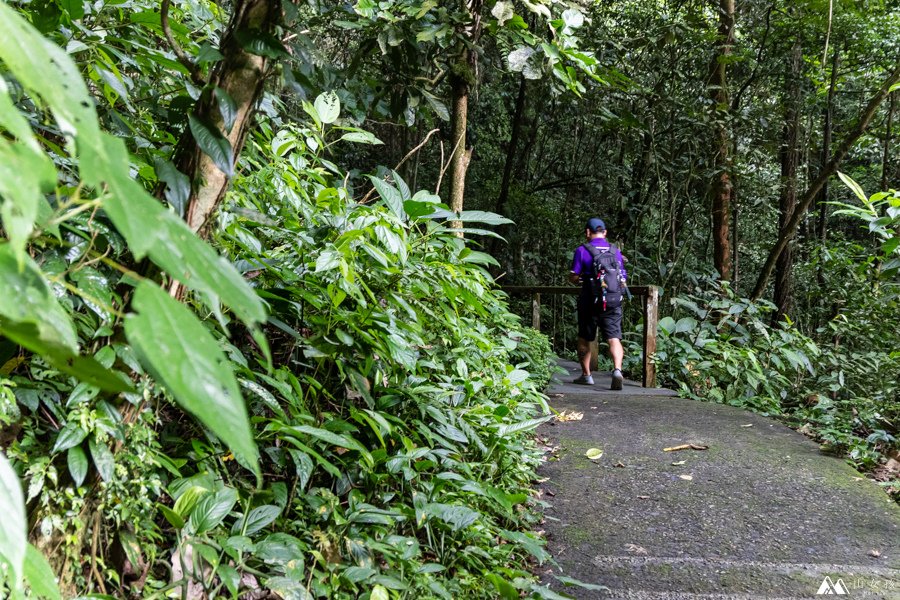 山女孩Melissa_東馬來西亞砂拉越Sarawak_姆魯國家公園mulu_鹿洞deer cave-0749.jpg