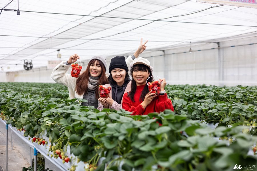 山女孩Melissa_日本越後湯澤親子景點_越後湯沢のいちご村_採草莓價目體驗心得分享-0-2.jpg