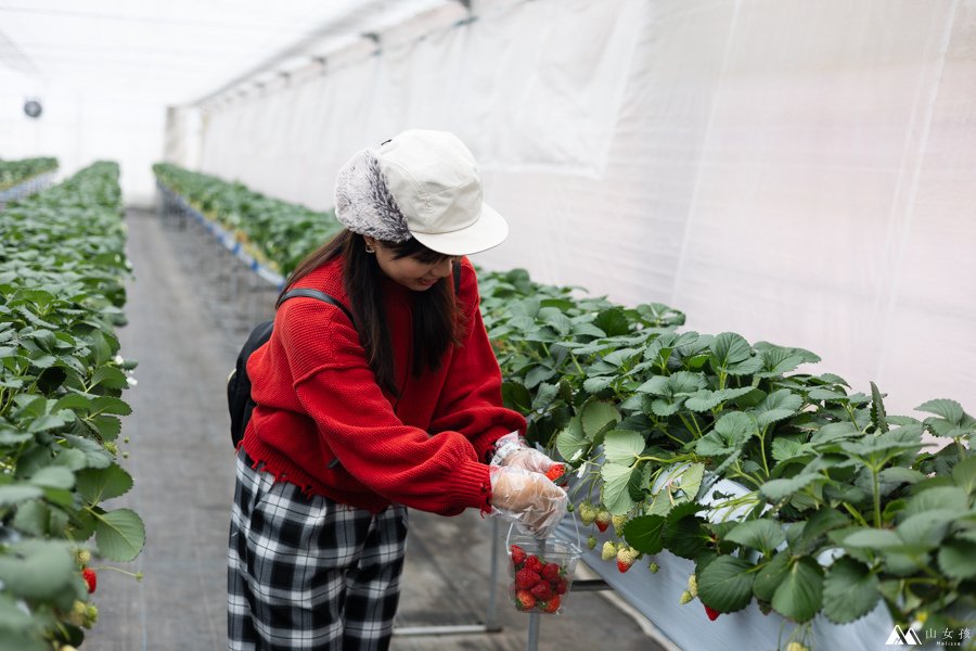 山女孩Melissa_日本越後湯澤親子景點_越後湯沢のいちご村_採草莓價目體驗心得分享-3233.jpg