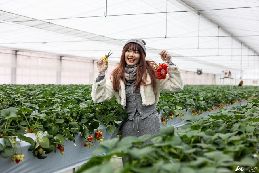 山女孩Melissa_日本越後湯澤親子景點_越後湯沢のいちご村_採草莓價目體驗心得分享-3245.jpg