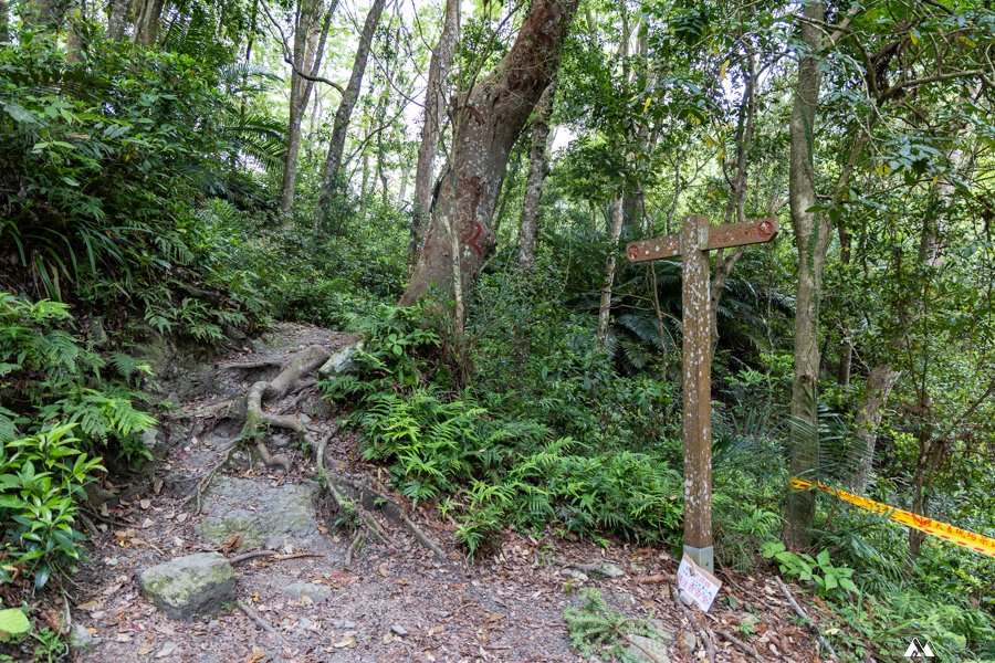 山女孩Melissa_苗栗泰安虎山_水雲三星_登山路線分享-09.jpg