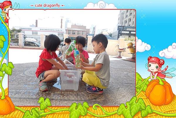 DSCN9008.jpg