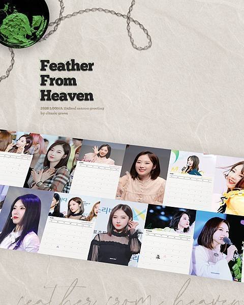 Feather From Heaven 06.jpg
