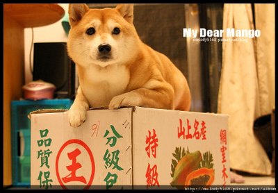 DPP_0001.JPG