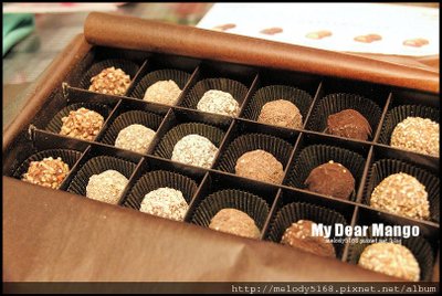 GODIVA (3).JPG