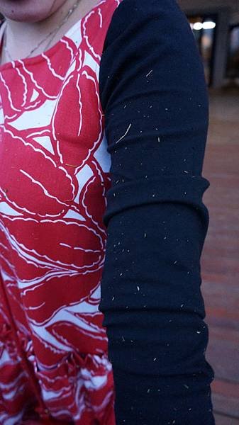 DSC00321