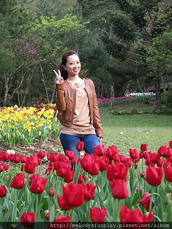 IMG_1541.JPG