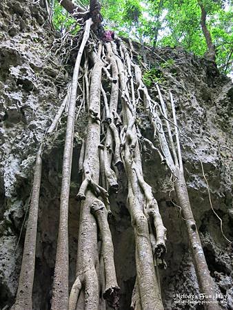 IMG_1879_结果.JPG