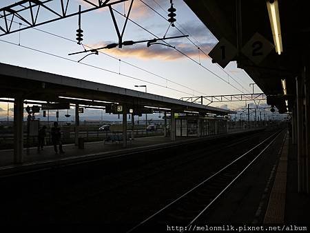 P1060478.JPG