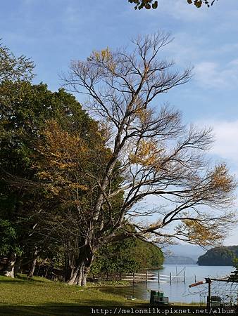 P1060812.jpg