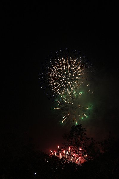 IMG_5330.JPG