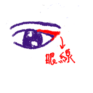 未命名-6.gif