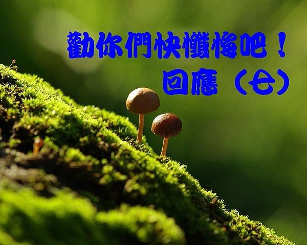 勸你們快懺悔吧！回應（七）..jpg