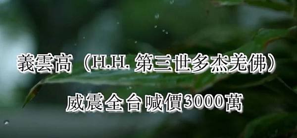 義雲高（H.H. 第三世多杰羌佛）威震全台喊價3000萬.JPG