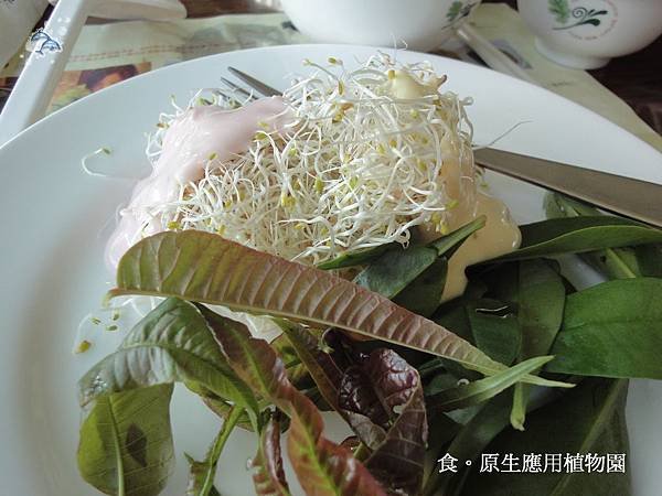 原生應用植物園