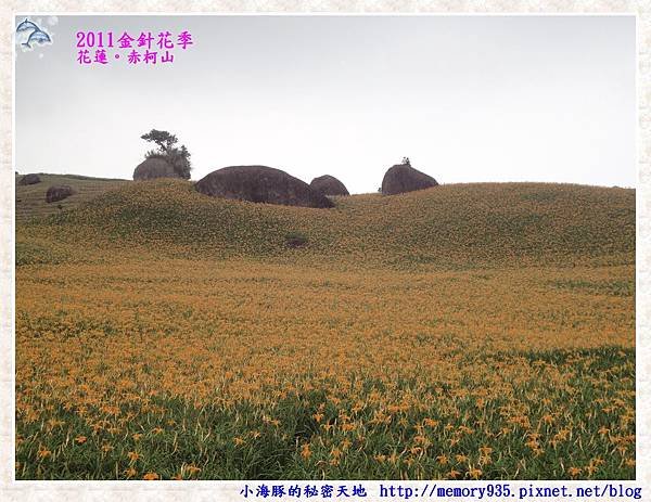 花蓮。赤柯山