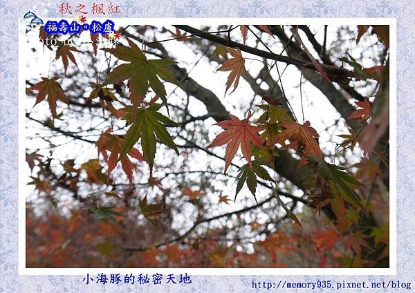 和平區~福壽山農場26
