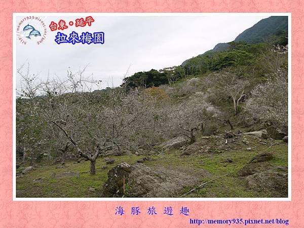 延平鸞山部落~拉來梅園農莊028