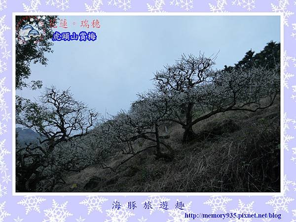 梅~瑞穗虎頭山005