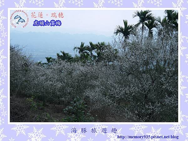 梅~瑞穗虎頭山007