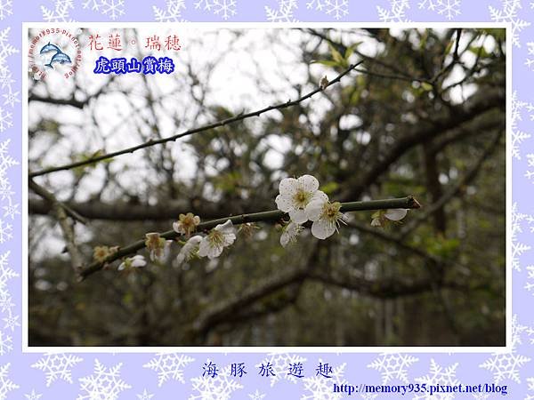 梅~瑞穗虎頭山012