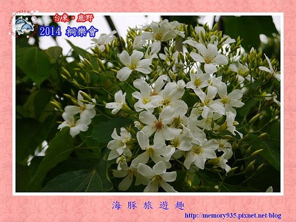 2014鹿野桐樂會