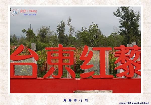 台東市。台東森林公園紅藜季 (2).jpg