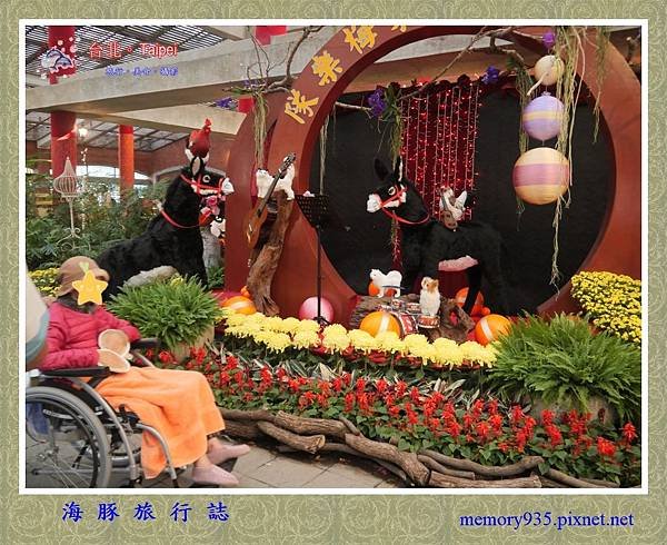 2019士林官邸。菊展 (14).jpg