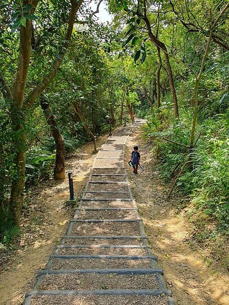 7Y8M。文山森林公園健行