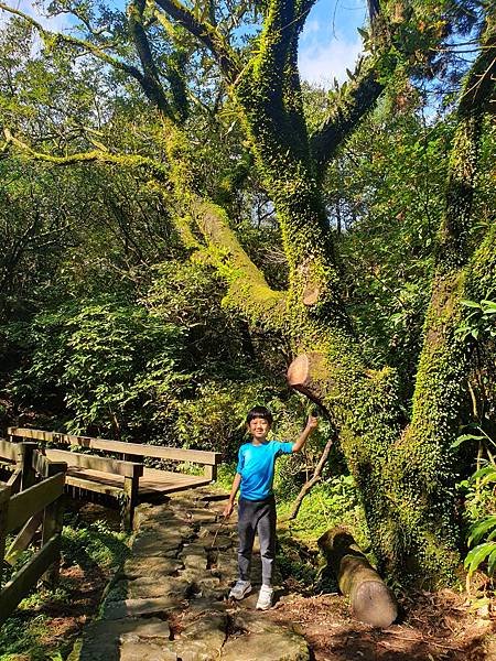 8Y7M。陽明山一日遊