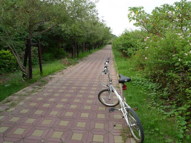 20090524 往舊鐵橋方向 高屏溪河岸自行車道