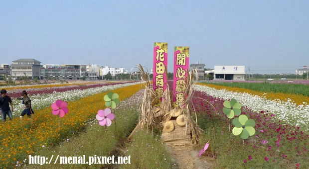 橋頭花海