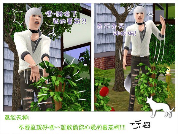 a02.jpg