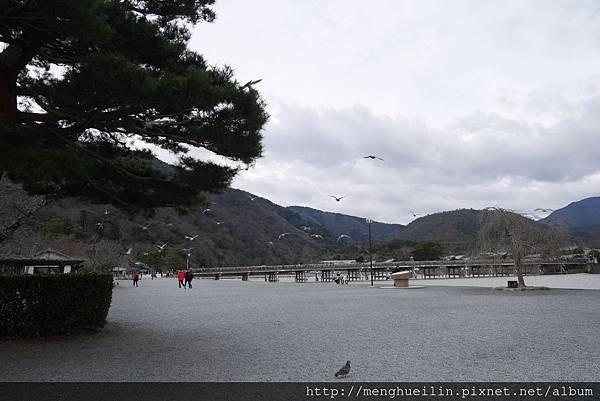 2016.01.30 DAY3-2 嵐山渡月橋 (9)-min.JPG