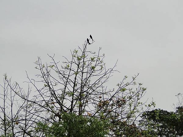 DSC05805.JPG