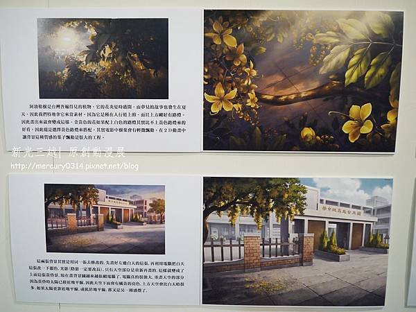 P1590971.JPG