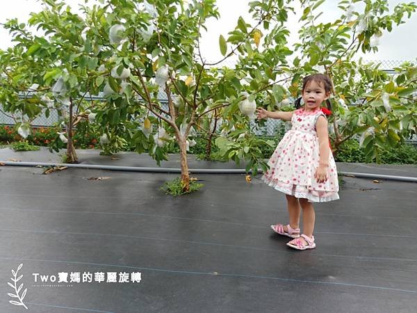 a1598718830220.jpg