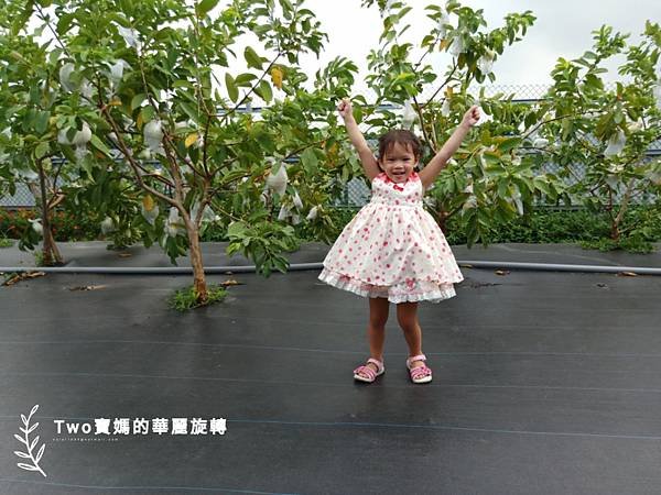 a1598718830536.jpg