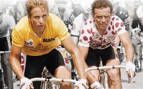 LeMond-Hinault_1927516c