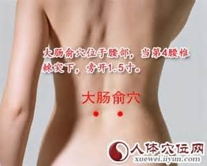 大腸俞穴.jpg