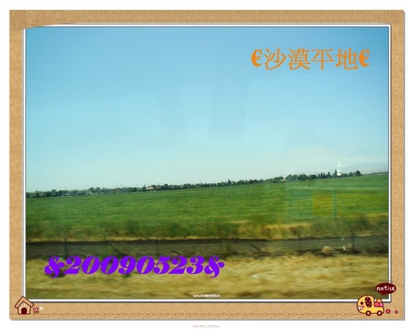 DSC09679.JPG