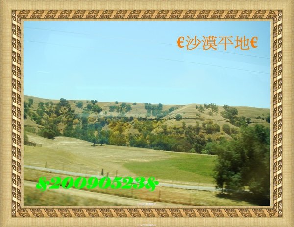 DSC09680.JPG