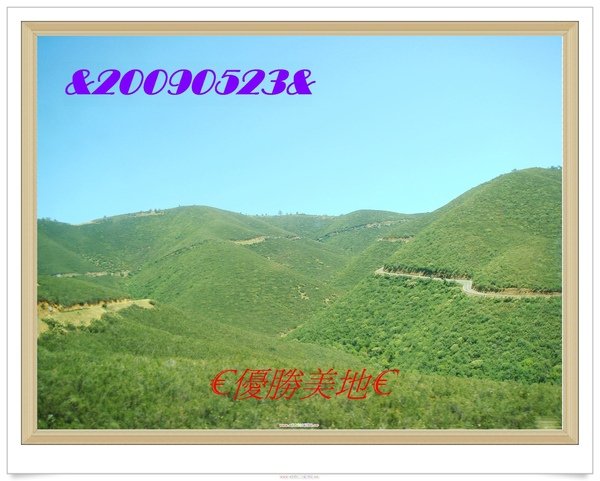DSC09694.JPG