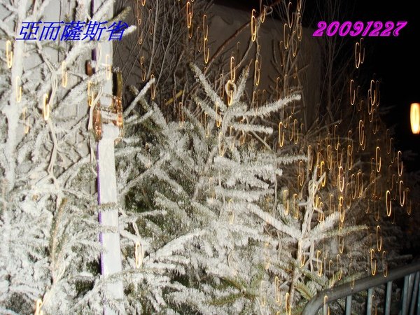 DSC00725.JPG