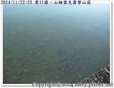 R1353954.JPG