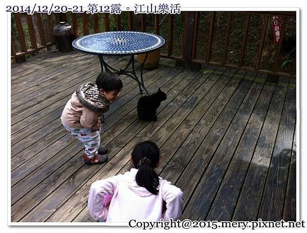 batch_IMG_2535.JPG