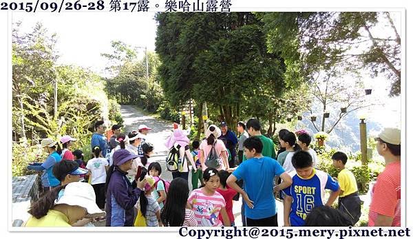 batch_IMAG0504.jpg