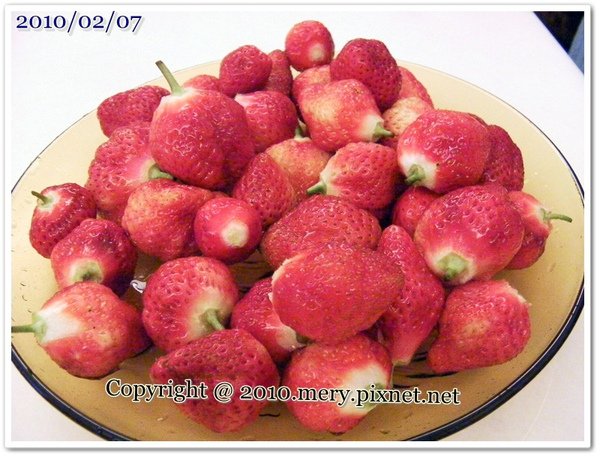 SANY0069.JPG