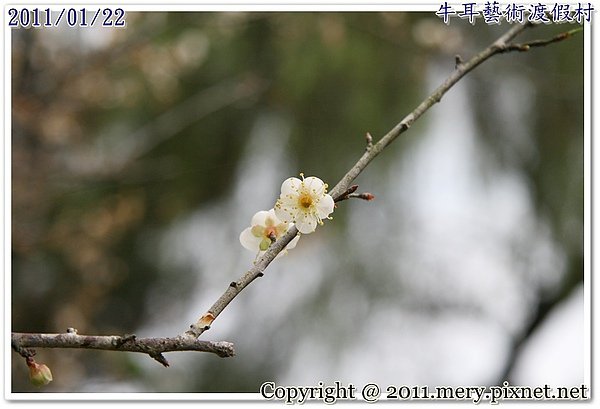 IMG_3815.JPG