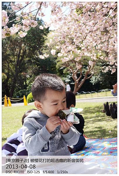 DSC03379_副本